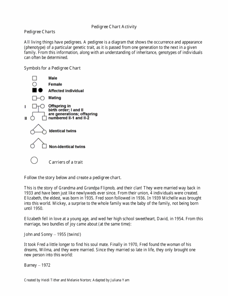 Pedigree Chart Activity Sheet Download Printable PDF Templateroller