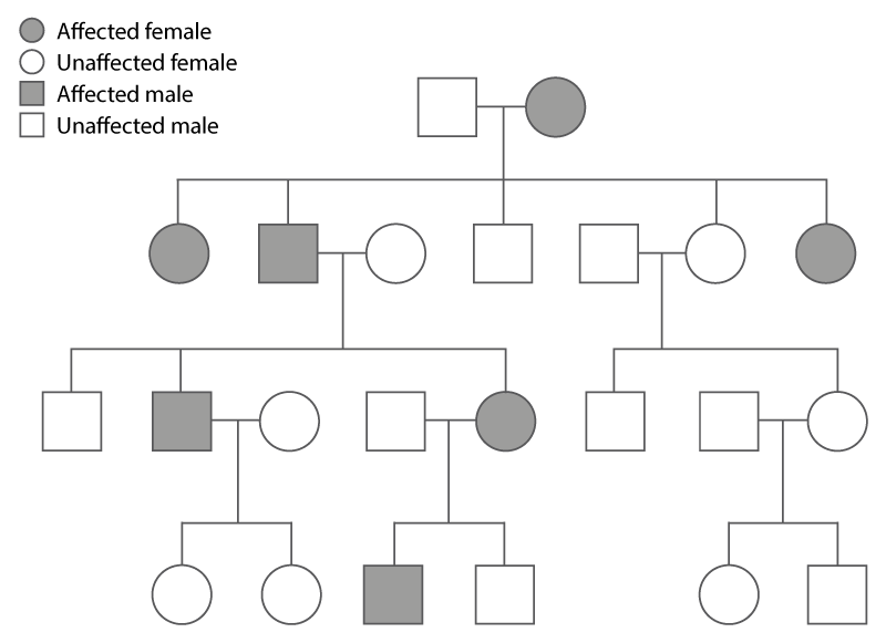 Pedigree Chart Autosomal Dominant
