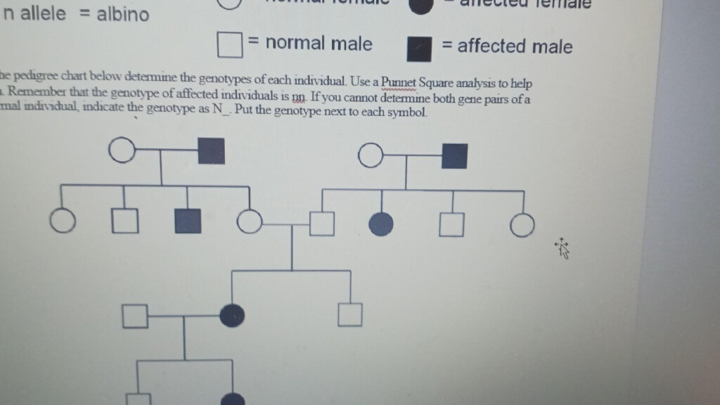 Pedigree Chart Below Determine The Genotypes Of Each Chegg