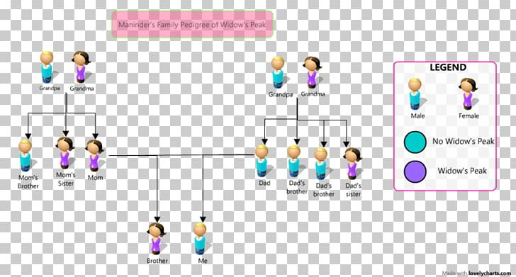 Pedigree Chart Family Tree Genetics Purebred PNG Clipart Free PNG 