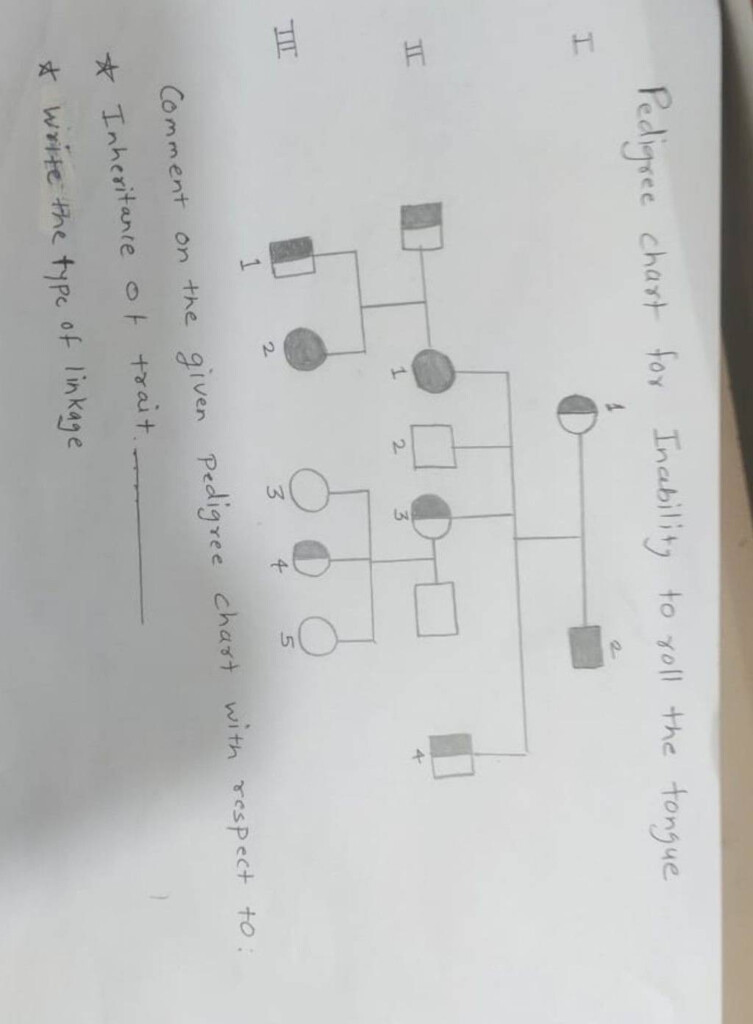 Pedigree Chart For Inability To Roll The Tongue I III Comment On The Give 