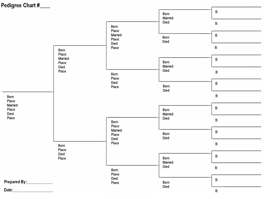 Pedigree Chart Free Printable