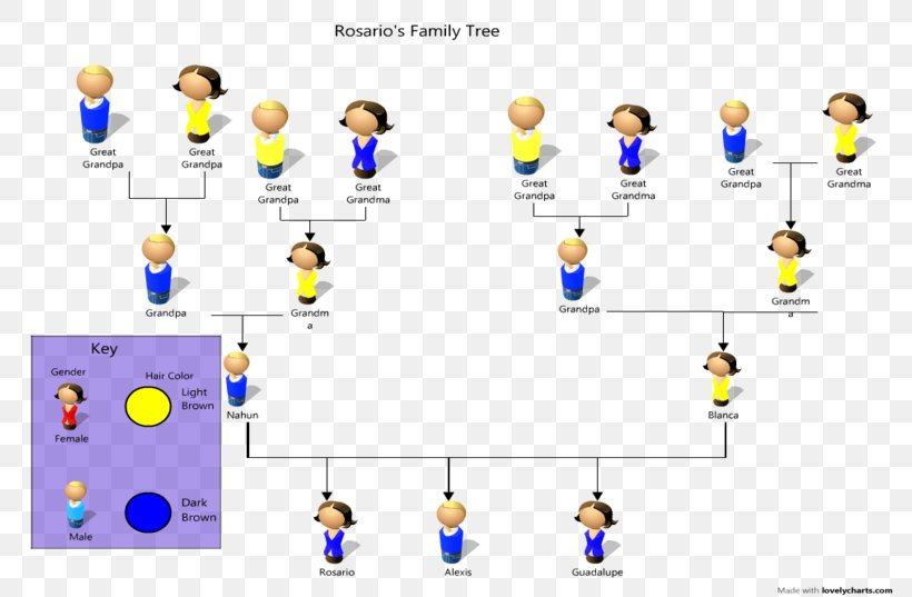 Pedigree Chart Genetics Phenotypic Trait Organism Family Tree PNG 
