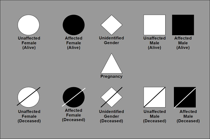 Pedigree Chart Guide Definition Symbols Examples