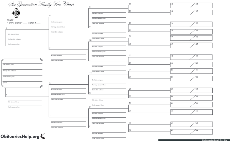 Pedigree Chart Spreadsheet Template Pedigree Chart Ex Vrogue co