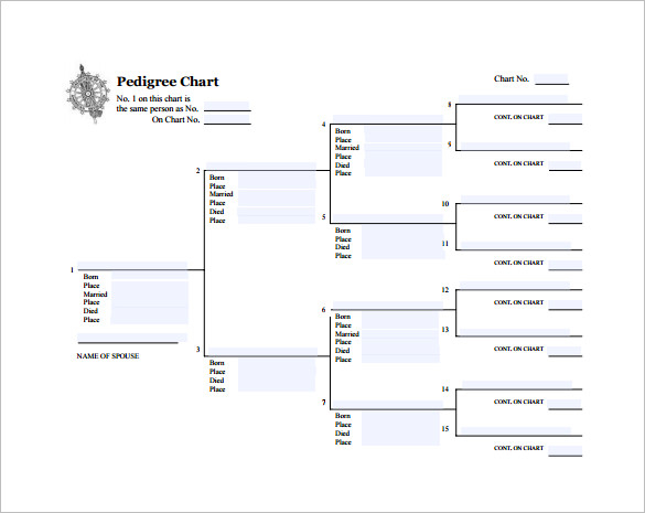 Pedigree Chart Template 9 Free Sample Example Format Download 