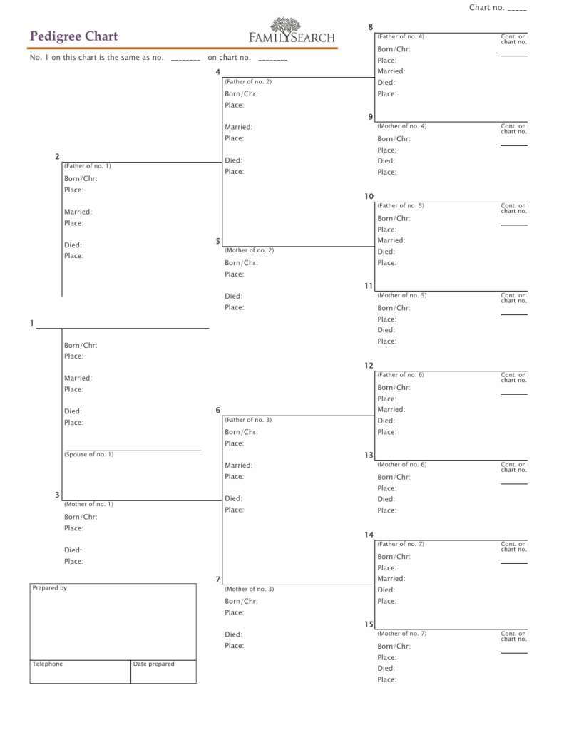 Pedigree Chart Template Family Search Download Printable PDF 