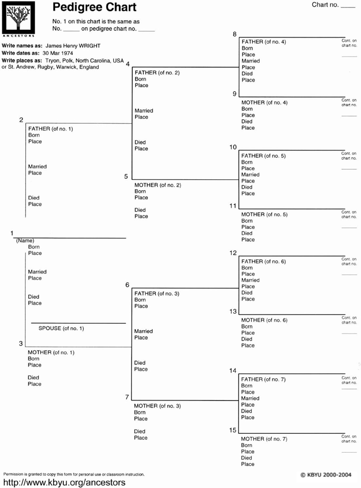 Pedigree Chart Template Free Download Speedy Template