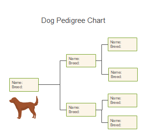 Pedigree Chart Templates EdrawMax Free Editable