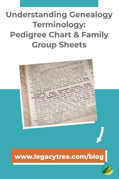Pedigree Chart Vs Family History Group Sheet What S The Difference 