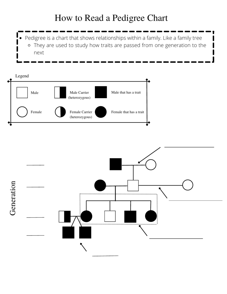 Pedigree Chart Worksheet Genetics Practice