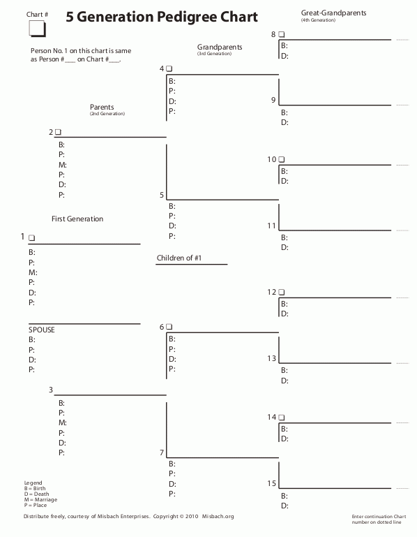 Pedigree Chart Worksheet Pdf