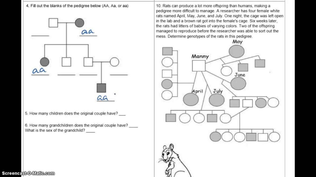 Pedigree Chart Worksheets