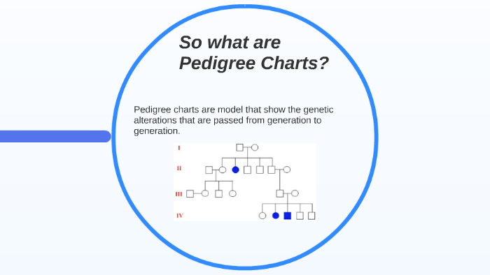 Pedigree Charts By Allen Li On Prezi