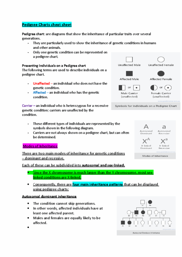 Pedigree Charts Cheat Sheet Pedigree Charts Cheat Sheet Pedigree 