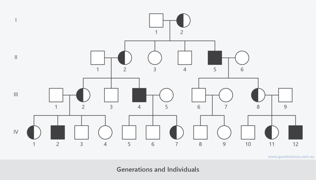 Pedigree Charts Good Science