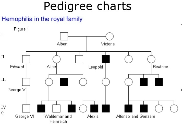 Pedigree Charts Hemophilia In The Royal Family Figure Albert Victoria 