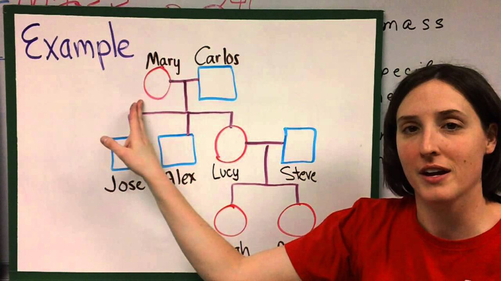 Pedigree Charts Lessons Blendspace