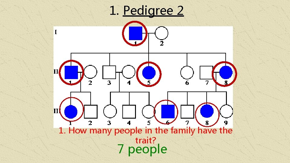 Pedigree Charts Pedigree Notes Handout What Is A