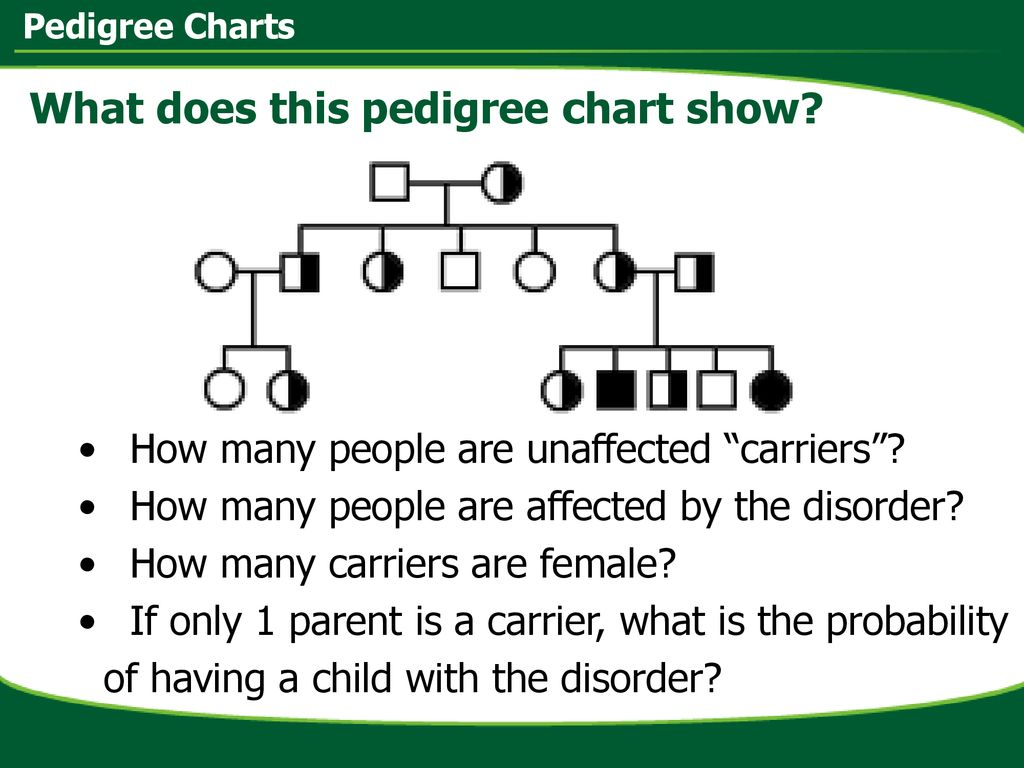 Pedigree Charts Ppt Download