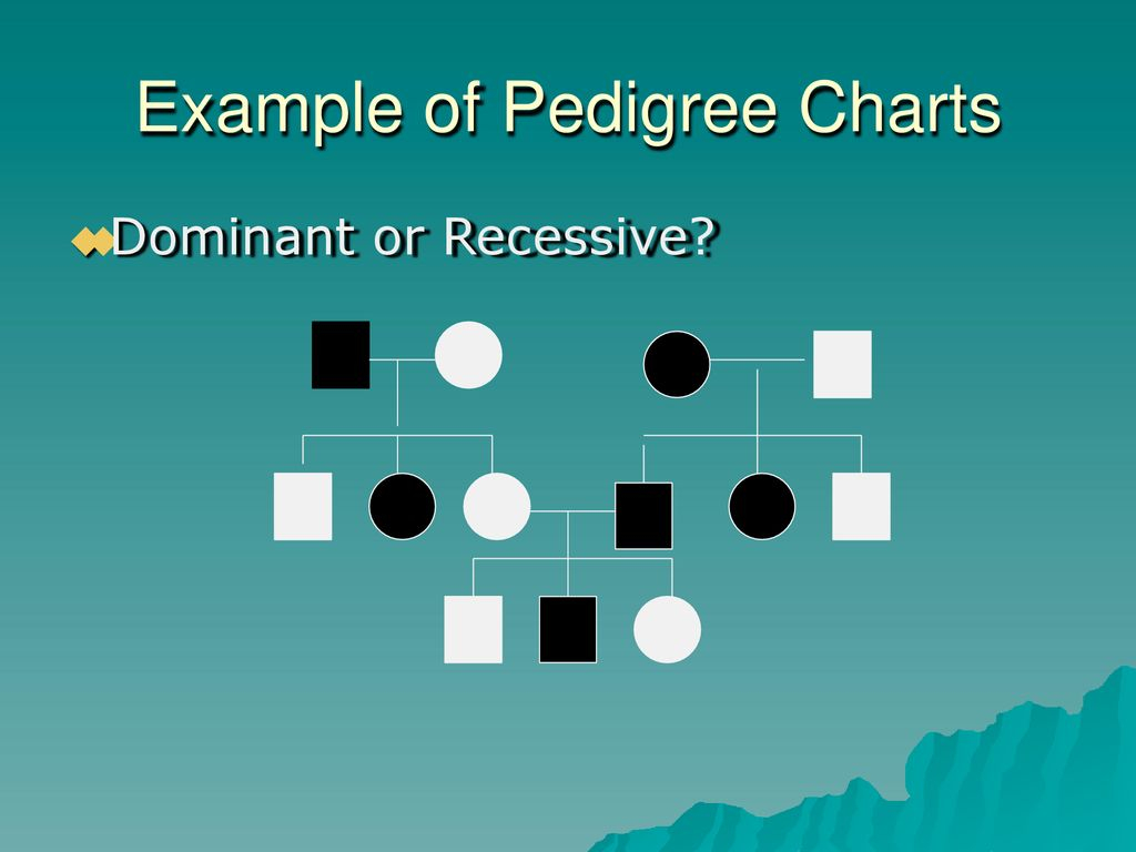 Pedigree Charts The Family Tree Of Genetics Ppt Download