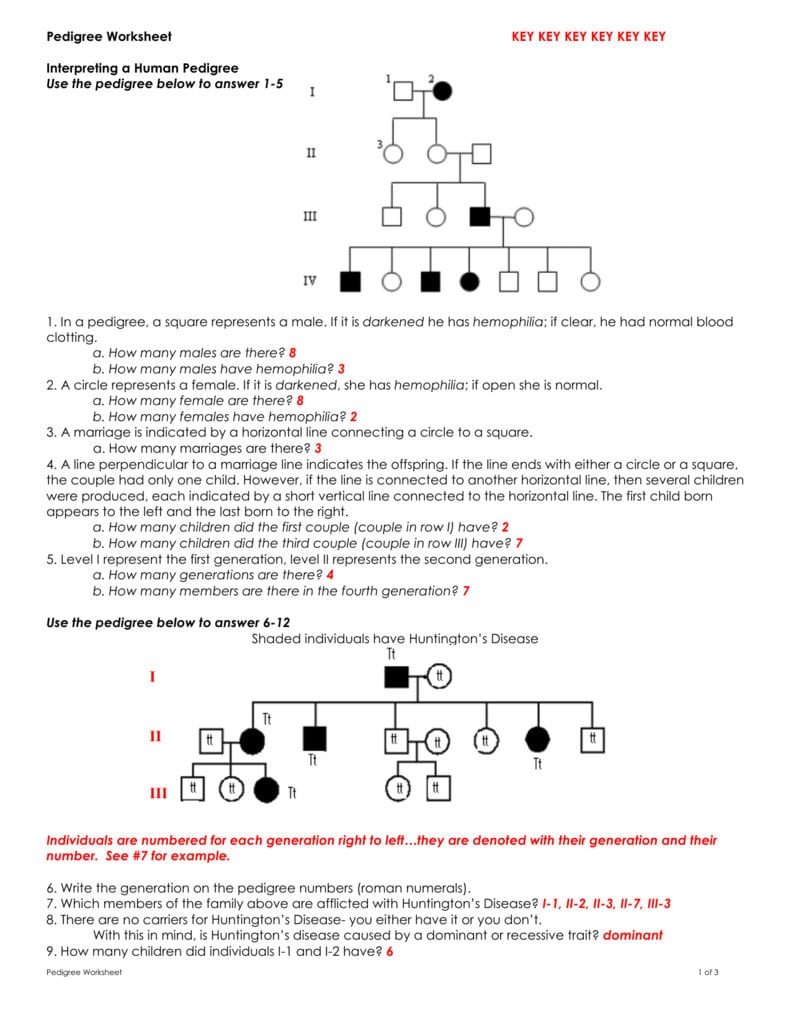 Pedigree Charts Worksheet Answers Db excel