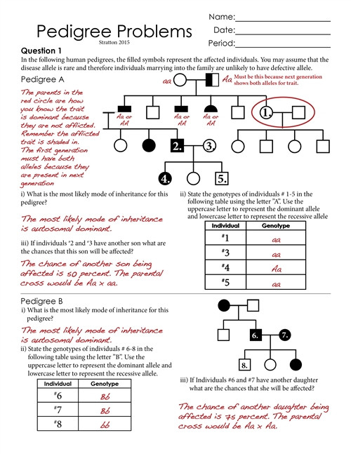Pedigree Charts Worksheet Answers Free Worksheets Samples