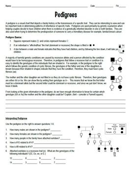 Pedigree Charts Worksheet S Background Information 95 Pages Answer 