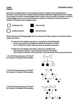 Pedigree Charts Worksheet S Background Information Pedigree Chart Png 