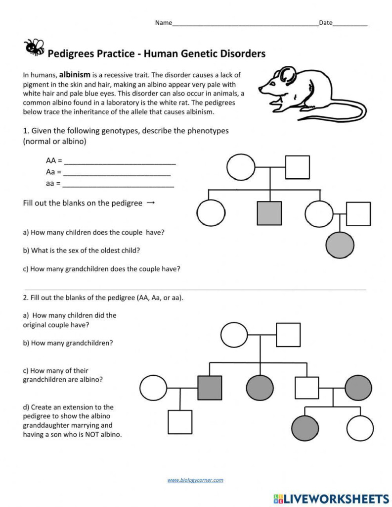 Pedigree Charts Worksheet Sixth Grade Science Twinkl USA 