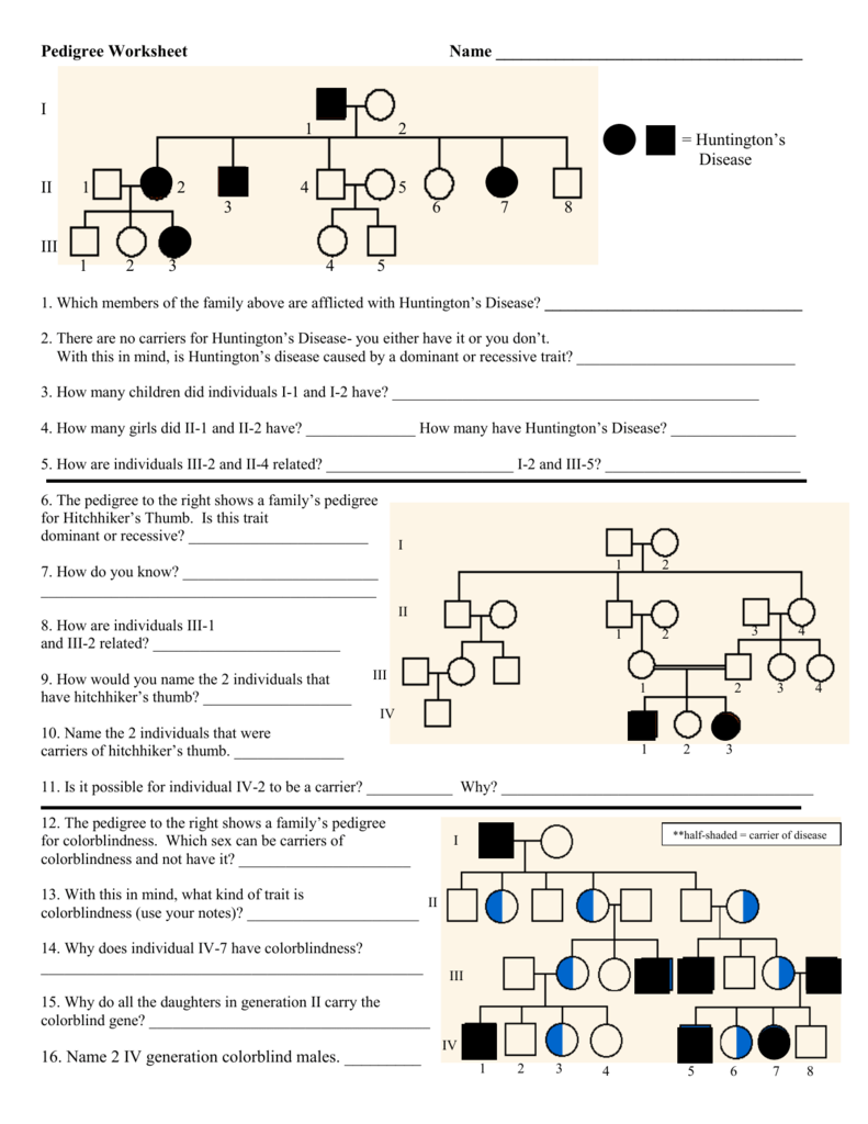 Pedigree Charts Worksheet With Answers