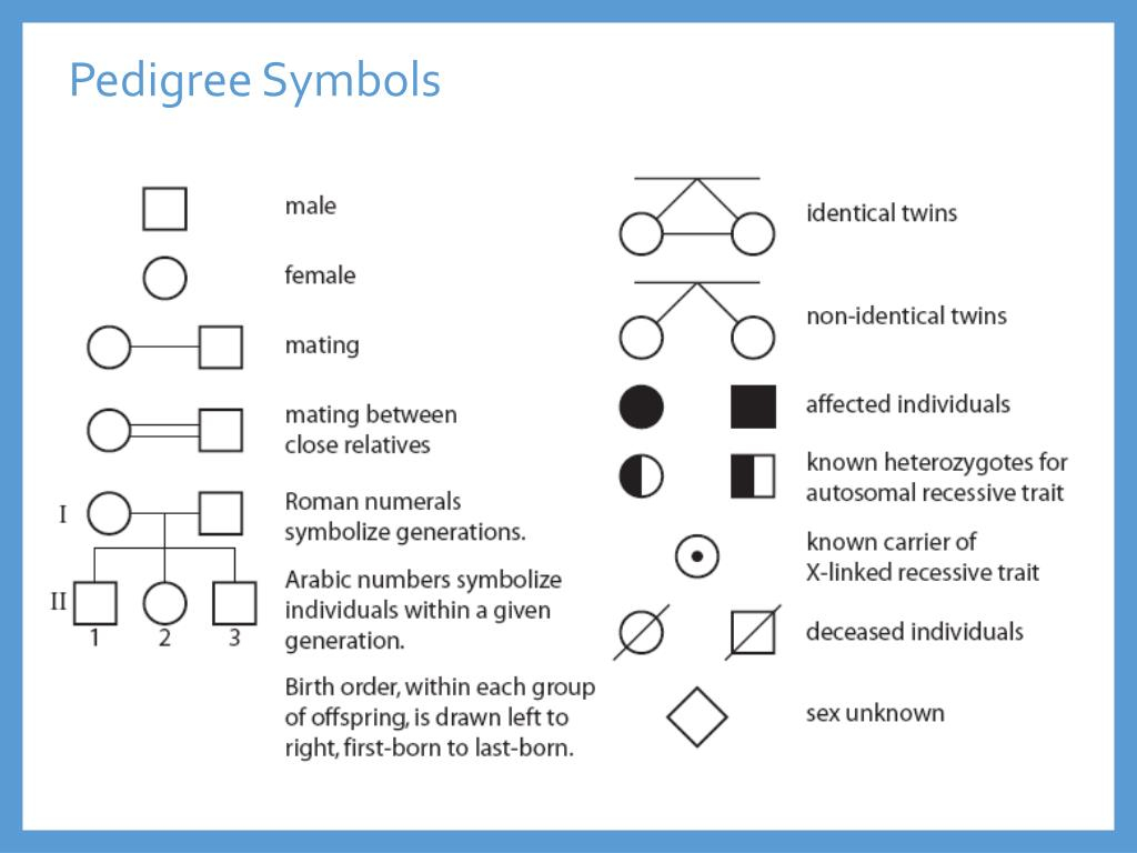 Pedigree Diagram Symbols