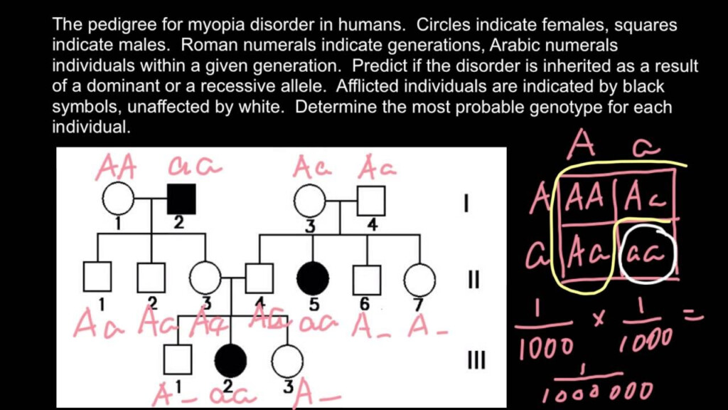 Pedigree Example Problems With Answers Pedigree Practice Pro