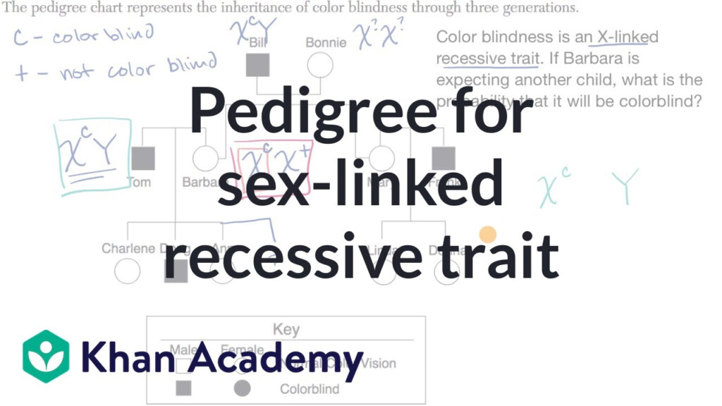 Pedigree For Determining Probability Of Exhibiting Sex Linked Recessive 