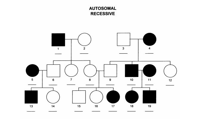 Pedigree Genetics