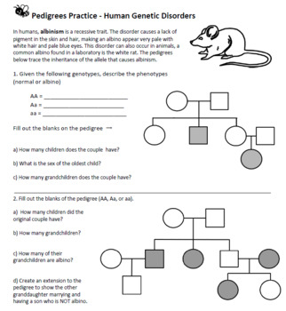 Pedigree Genetics Key