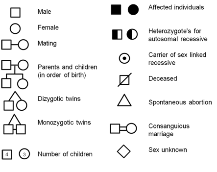 Pedigree Genetics Key