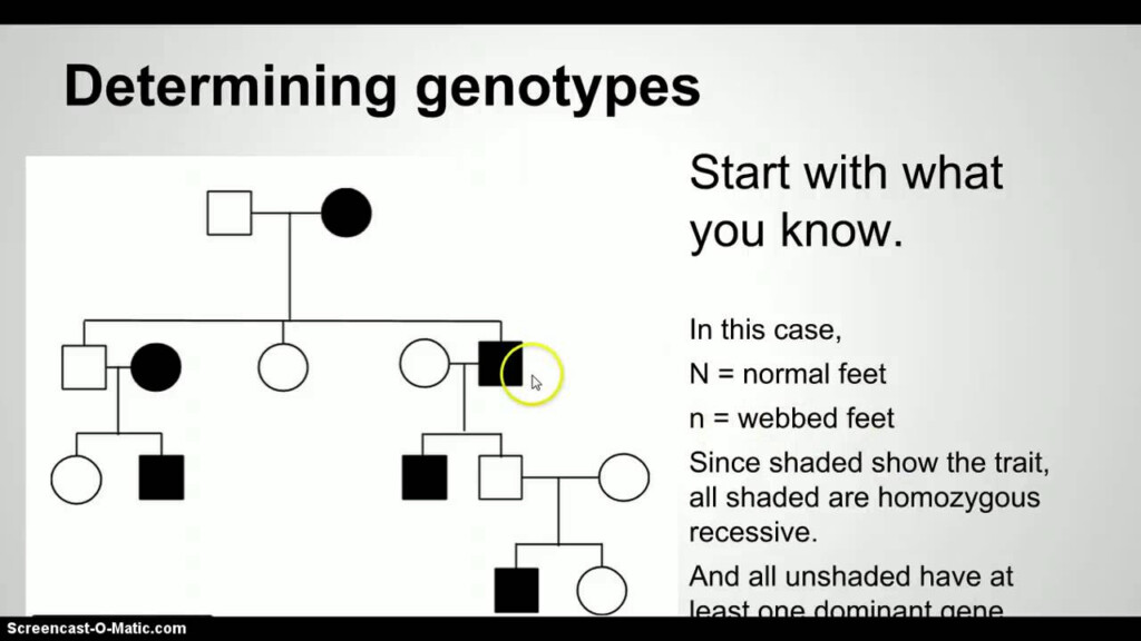 Pedigree Genetics Practice Problems