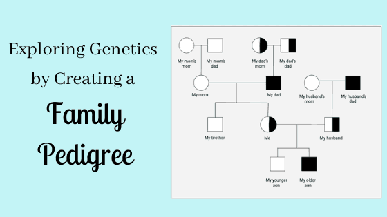 Pedigree Genetics
