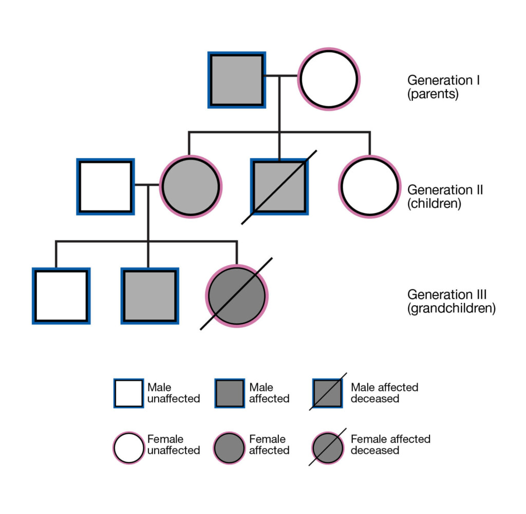 Pedigree How To Create A 3 Generation Pedigree Viquepedia