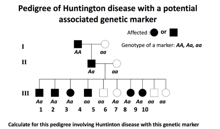 Pedigree Of Huntington Disease With A Potential Chegg