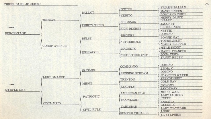 Pedigree Of Three Bars Aqha Quarter Horse Make Me Happy