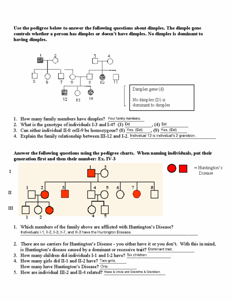 Pedigree Practice Problems Biology Use The Pedigree Below To Answer 