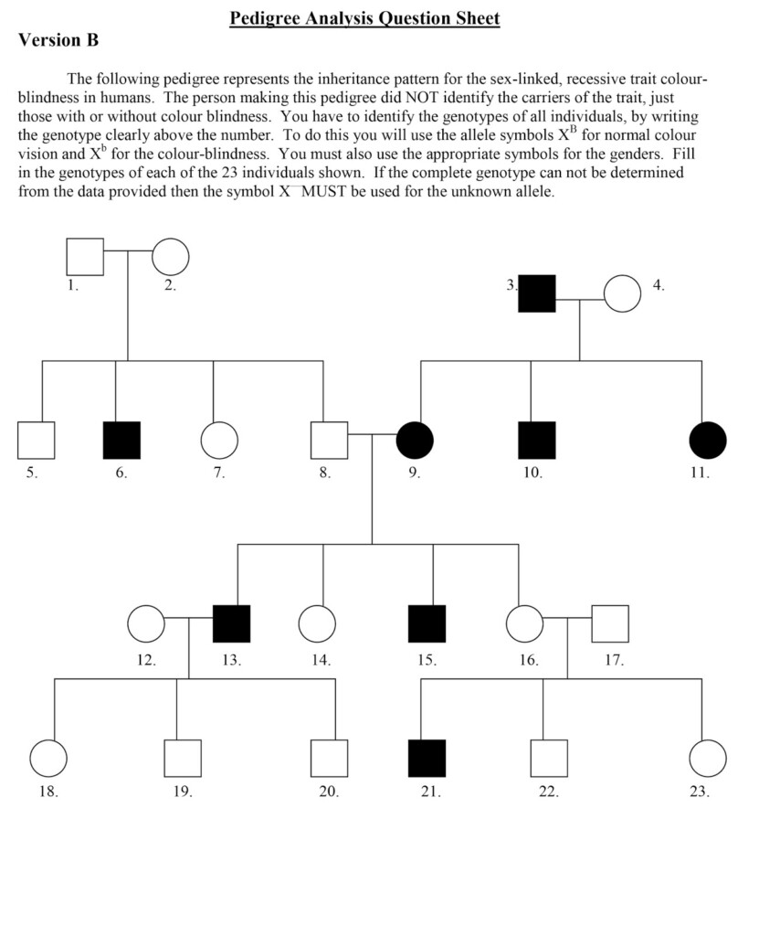 Pedigree Practice Worksheet With Answers