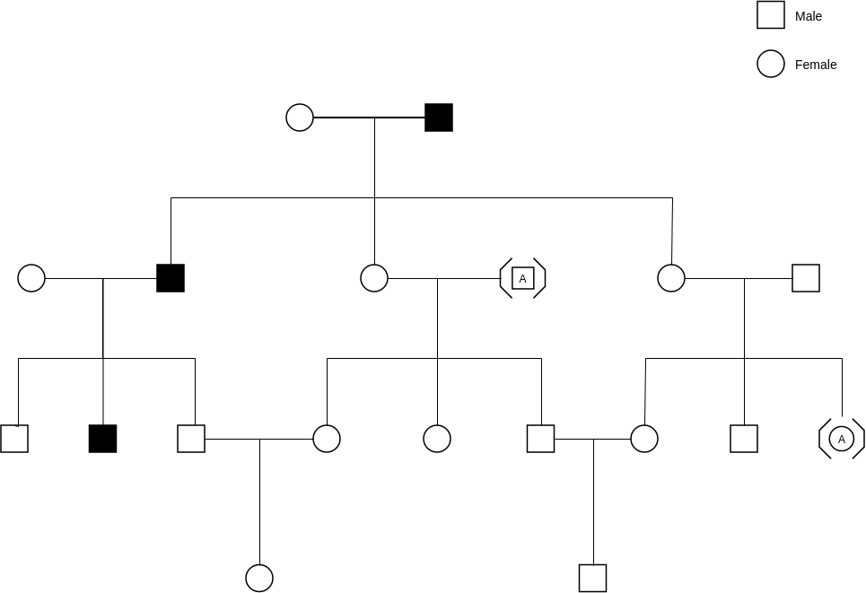Pedigree Probability Example Pedigree Chart Template