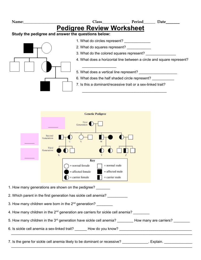 Pedigree Punnett Square Review