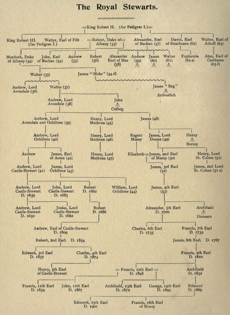 Pedigree Royal Stewarts