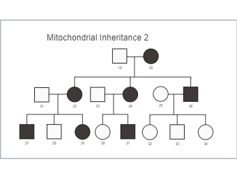 Pedigree Templates Editable Online EdrawMax