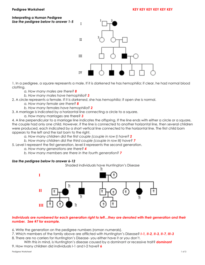 Pedigree Worksheet 3 Hemophilia The Royal Disease Answer Key 