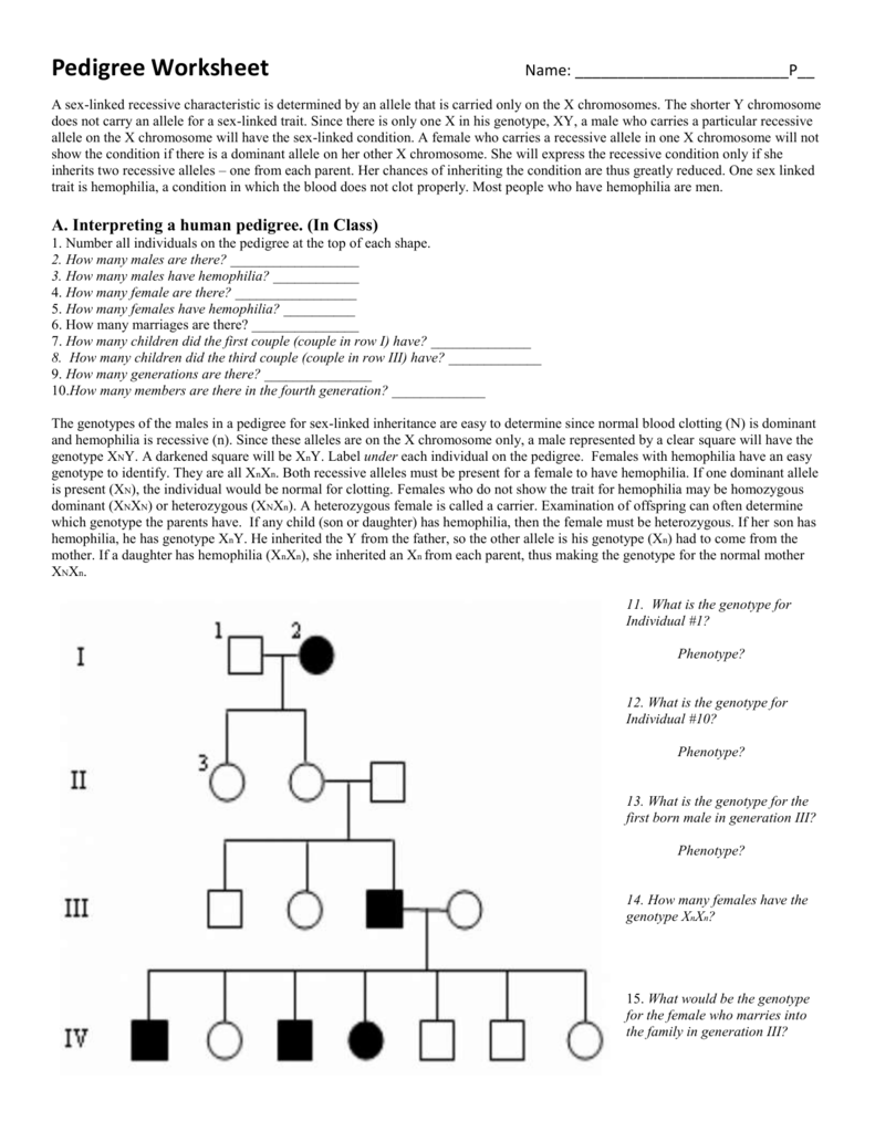Pedigree Worksheet 3 Hemophilia The Royal Disease Pregnant Health Tips